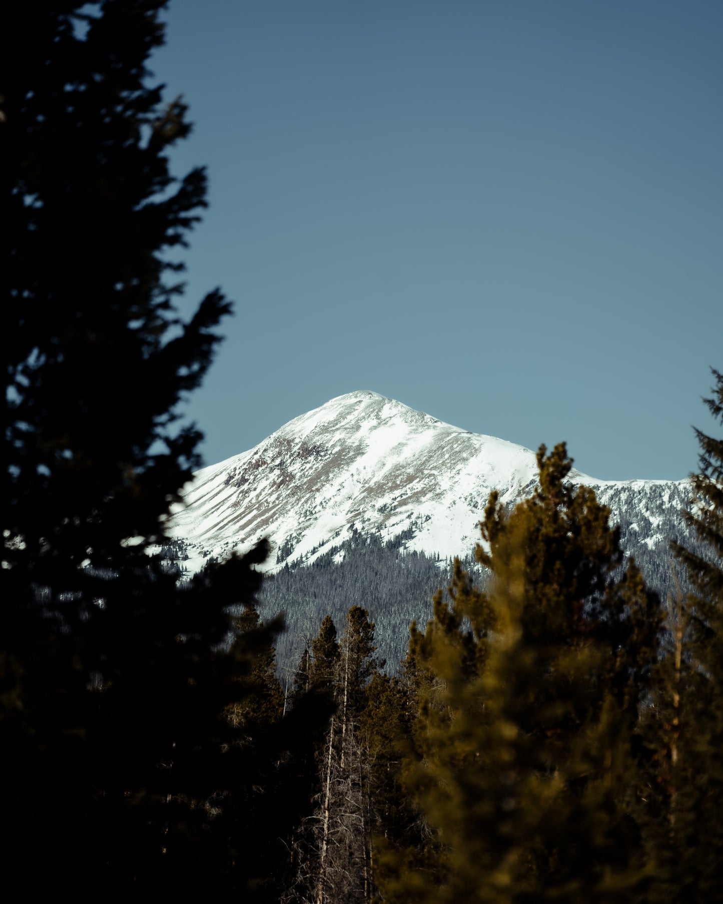 Adventure Lightroom Presets